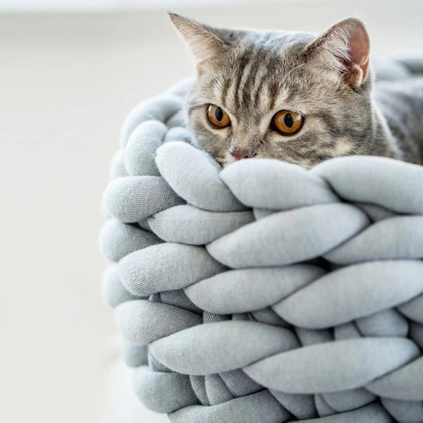 Chunky Knit Pet Bed For Dogs Or Cats Pet Beds