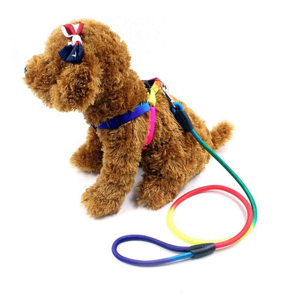 Durable Nylon Rainbow 1.2M Dog Leash Pet Walking Equipment Leads & Head Collars