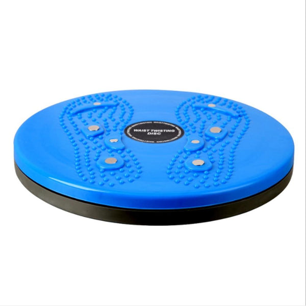 Twist Disc Home Gym Fitness Balance Board 360 Degree Spinning Plate