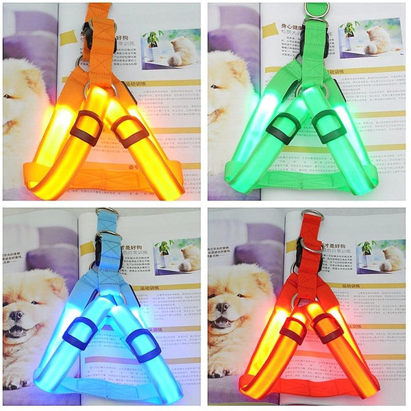Usb Rechargeable Led Nylon Dog Collar Harness Flashing Light Up Safety Pet Collars P01