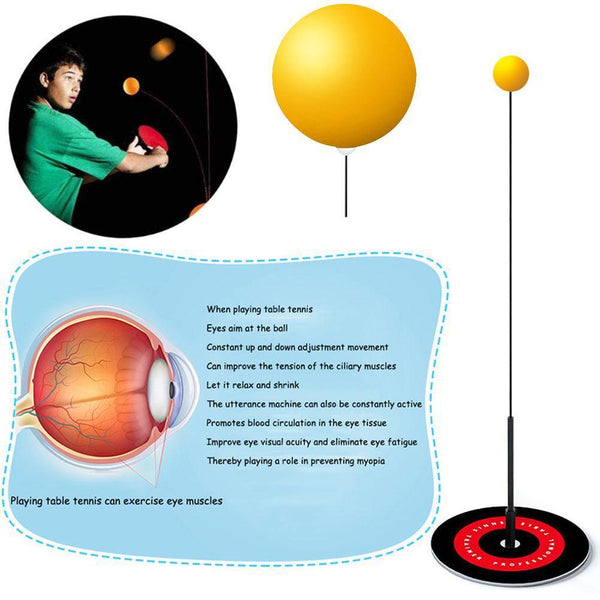 Table Tennis Training Toy Family Ping Pong Indoor Outdoor Games Other Table Tennis