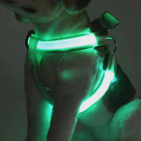 Usb Rechargeable Led Nylon Dog Collar Harness Flashing Light Up Safety Pet Collars P01 Dog Collars