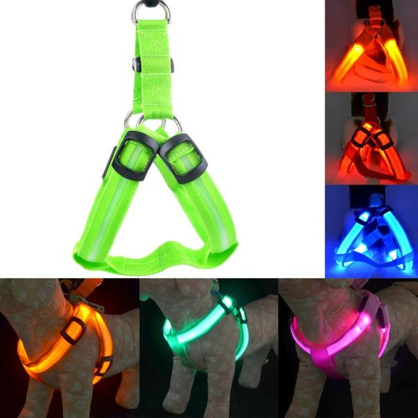Usb Rechargeable Led Nylon Dog Collar Harness Flashing Light Up Safety Pet Collars P01 Dog Collars