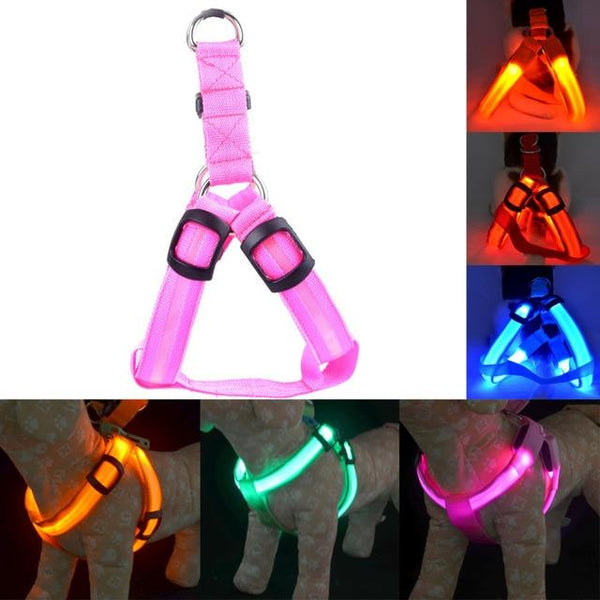Usb Rechargeable Led Nylon Dog Collar Harness Flashing Light Up Safety Pet Collars P01 Dog Collars