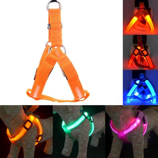 Usb Rechargeable Led Nylon Dog Collar Harness Flashing Light Up Safety Pet Collars P01 Dog Collars