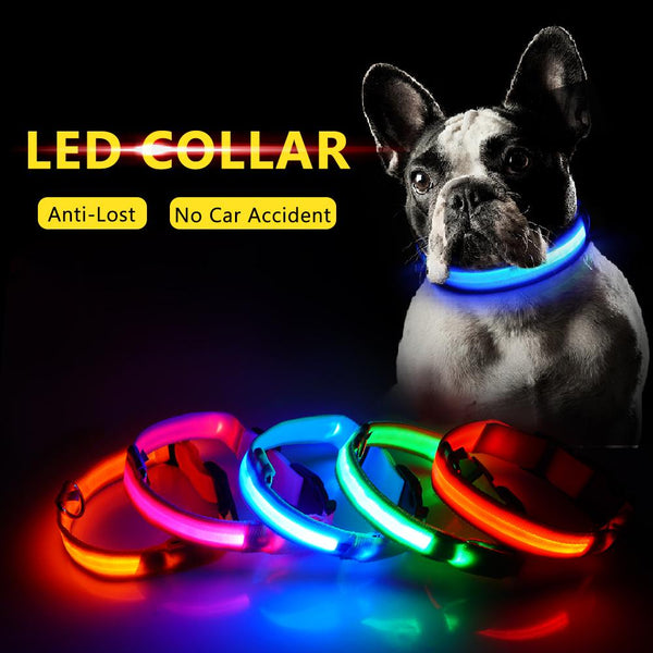 Novelty Safety Usb Charging Led Dog Collar Puppies Walking Light Up Dog Collars