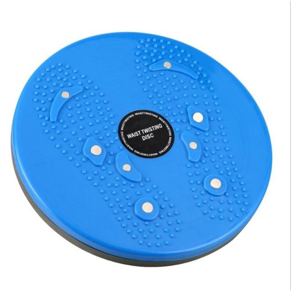 Twist Disc Home Gym Fitness Balance Board 360 Degree Spinning Plate
