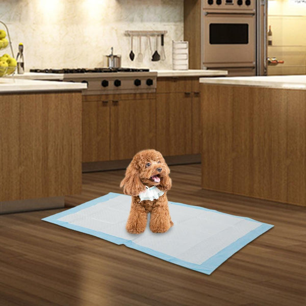 50 / 100Pcs Absorbent Indoor Pet Training Pads Puppy Dog Cat Toilet