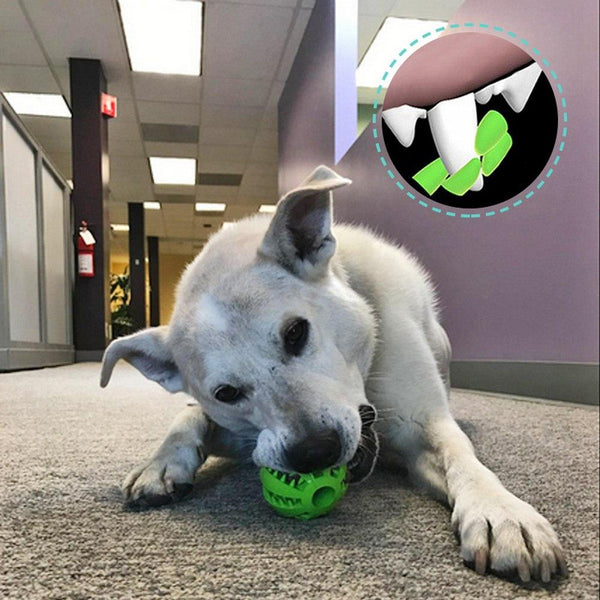 Dog Chew Rubber Ball Toy Dental Clean Teeth Healthy Treat Gum Bite Puppy Pet Play