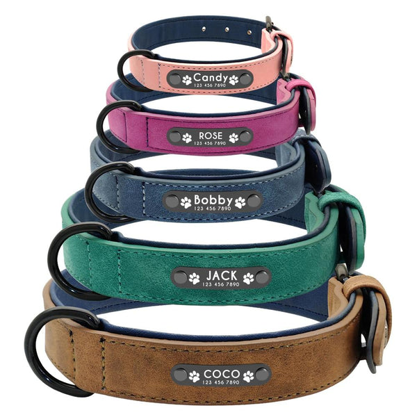 Suede Custom Dog Collar Leash Set Leads & Head Collars