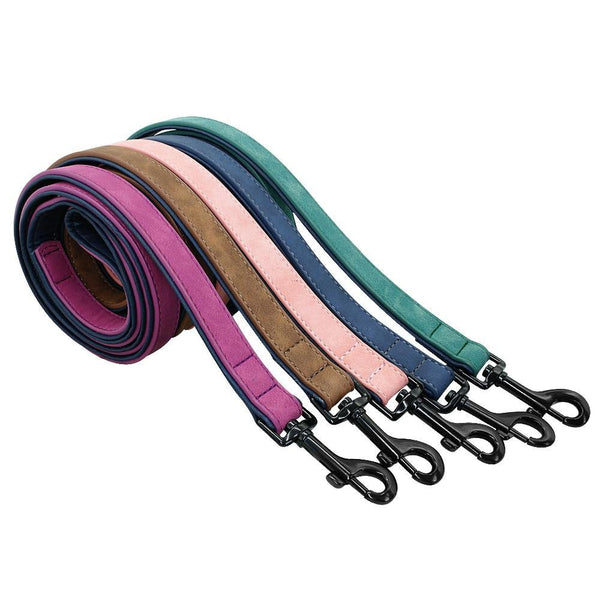 Suede Custom Dog Collar Leash Set Leads & Head Collars