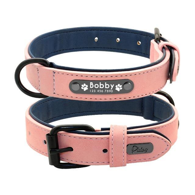 Suede Custom Dog Collar Leash Set Leads & Head Collars
