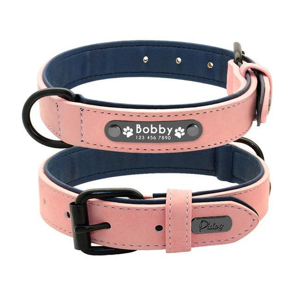 Suede Custom Dog Collar Leash Set Leads & Head Collars