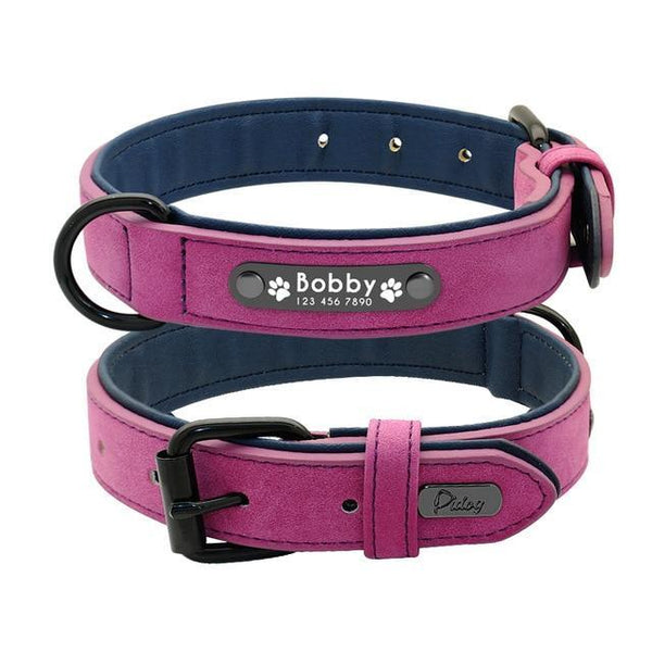 Suede Custom Dog Collar Leash Set Leads & Head Collars