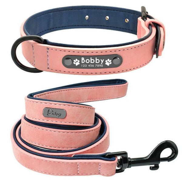 Suede Custom Dog Collar Leash Set Leads & Head Collars