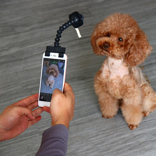 Pet Selfie Treat Holder Dog Photography Accessories Pet Cameras