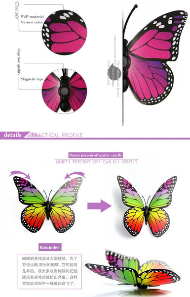 12 Pcs / Set Rainbow Colourful 3D Pvc Butterfly Wall Sticker Decor Wall Stickers