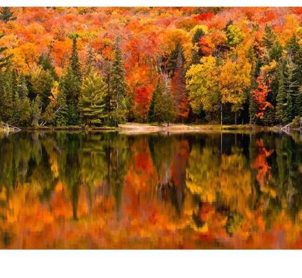 Diy Paint By Numbers Canvas Art Handpainted Dcor Craft Kit Paint By Numbers Kits