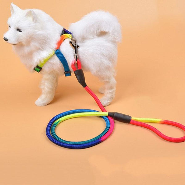 Durable Nylon Rainbow 1.2M Dog Leash Pet Walking Equipment Leads & Head Collars