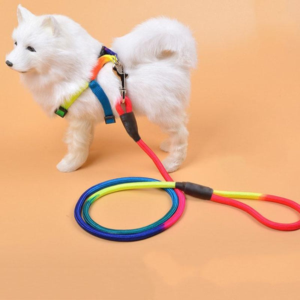Durable Nylon Rainbow 1.2M Dog Leash Pet Walking Equipment
