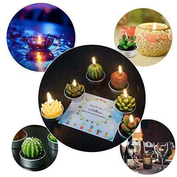 6Pcs/Set Artificial Cactus Succulent Plant Green Mini Dcor Candles