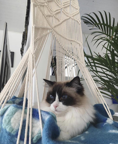 Boho Style Cat Swing Hanging Macrame Pet Bed Holder Pet Beds