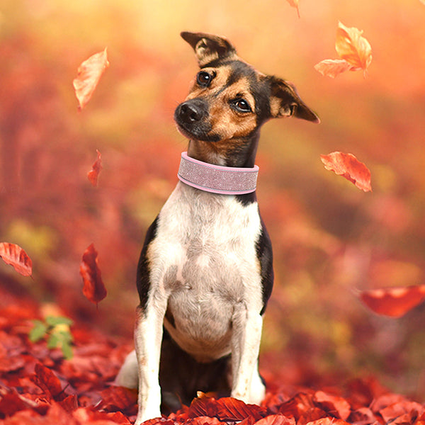 Reflective Bling Rhinestone Diamond Soft Dog Collars