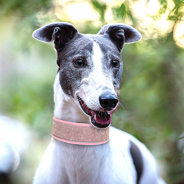 Reflective Bling Rhinestone Diamond Soft Dog Collars