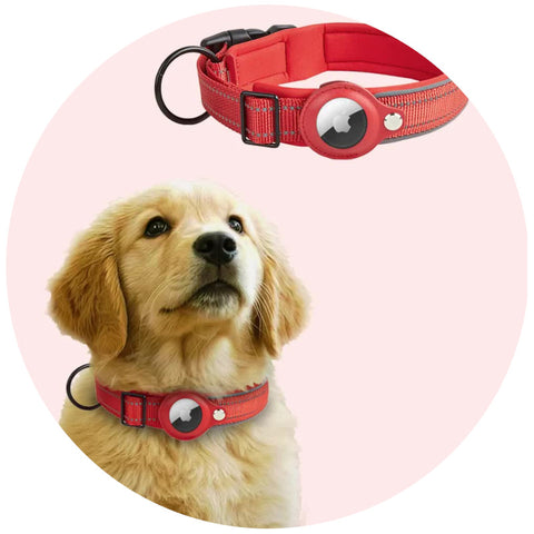 Size L Red Reflective Adjustable Anti Lost Pet Collar (For Apple Airtag Only Tracker Not Included) Dog Collars