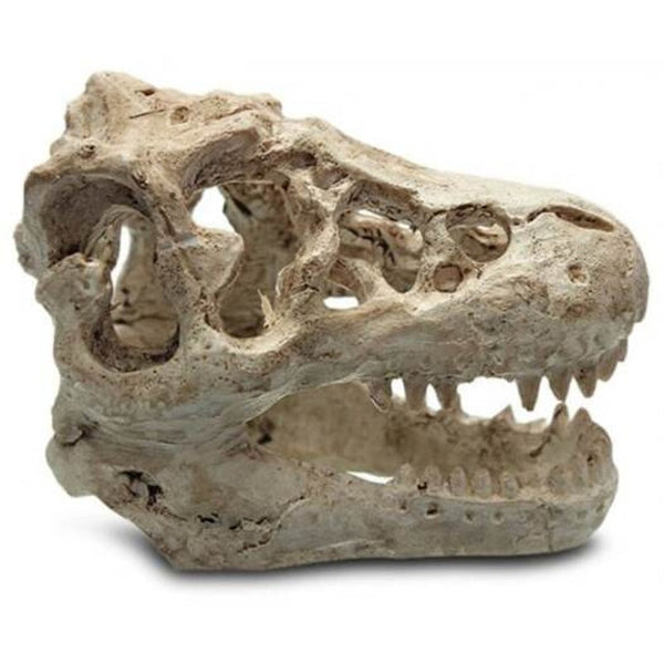 Resin Dinosaur Skull Shape Aquarium Decors Yellowish Pink Decorations