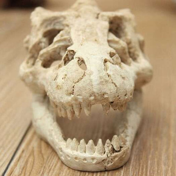 Resin Dinosaur Skull Shape Aquarium Decors Yellowish Pink
