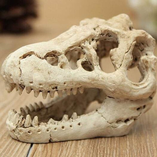 Resin Dinosaur Skull Shape Aquarium Decors Yellowish Pink Decorations