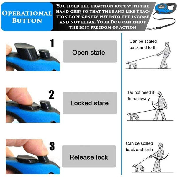 Leads & Head Collars Retractable Dog Leash Automatic Flexible Puppy Cat Traction Rope Belt