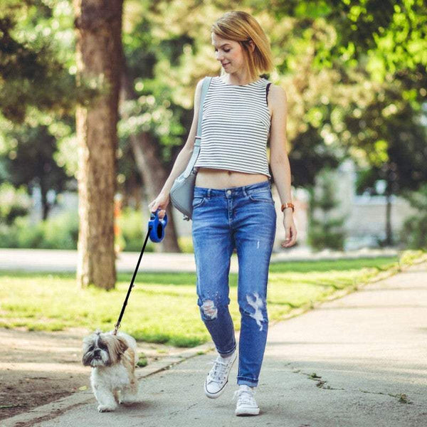 Retractable Dog Leash Automatic Flexible Puppy Cat Traction Rope Belt