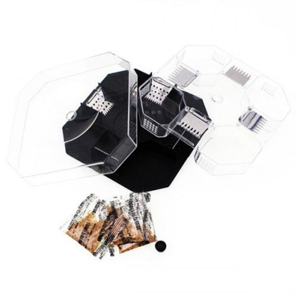 Reusable roach Trap Biologic Pest Catcher Black Other Weed & Pest Control