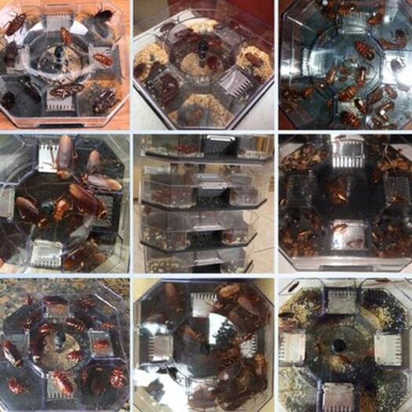 Other Weed & Pest Control Reusable Cockroach Trap Biologic Pest Catcher Black