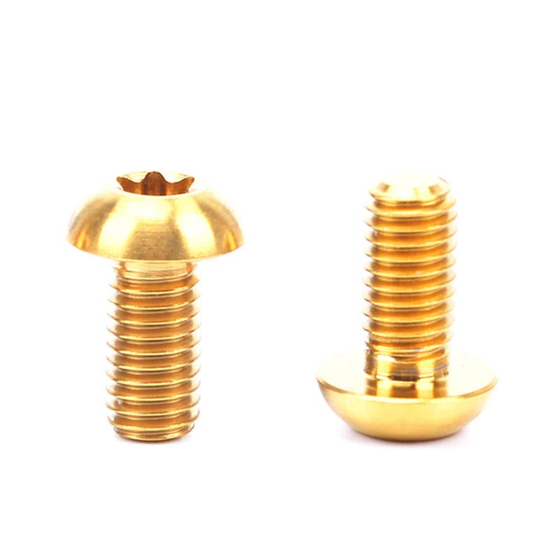 Risk 12Pcs M5u00d710mm Disc Disk Brake Rotor Bolts T25 Torx Titanium Mtb Bicycle Bike Water Cage Screw Gold Brake Rotors