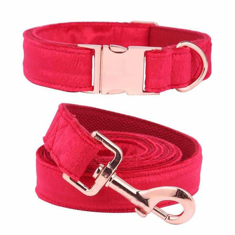 Sassy Scarlet Velvet Dog Collar Leash Set Leads & Head Collars
