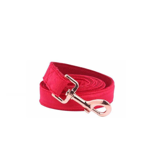 Sassy Scarlet Velvet Dog Collar And Leash Set