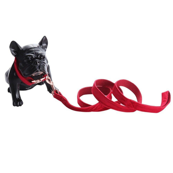 Sassy Scarlet Velvet Dog Collar Leash Set Leads & Head Collars