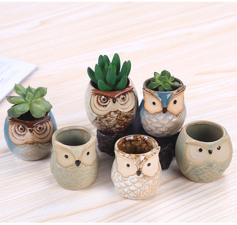 Cute Ceramic Owl Succulent Flower Pot Home Decor