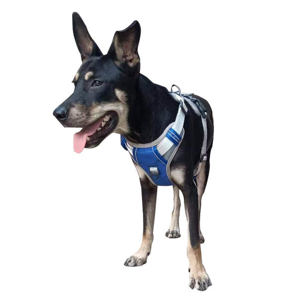 Dog Harness No Pull Outdoor Walking Breathable Reflective Small Harnesses