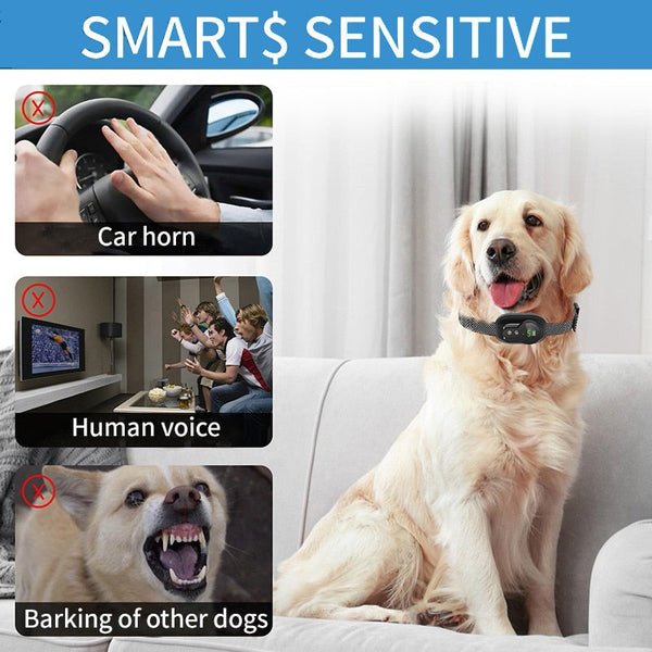 Anti Barking Dog Collar Rechargeable Automatic Stopper Effective Ip67 Waterproof Collars For