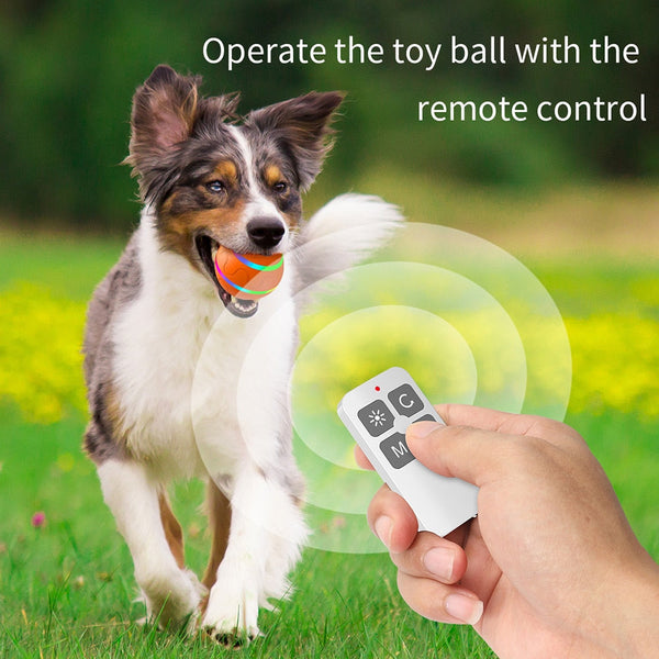 Pet Dog Cat Smart Toys Automatic Rolling Ball Electric Interactive Cat Toys