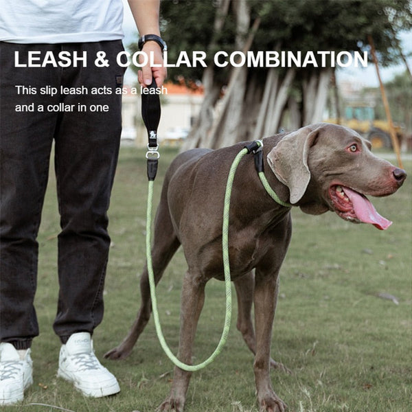 Pet Training Leash Slip Collar Dog Walking Supplies