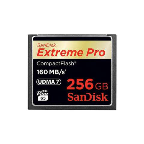 Sandisk Extreme Pro Cfxp 256Gb Compactflash 160Mb/S (Sdcfxps-256G)