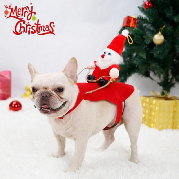 Santa's Sleigh Christmas Dog Costume Dog Costumes
