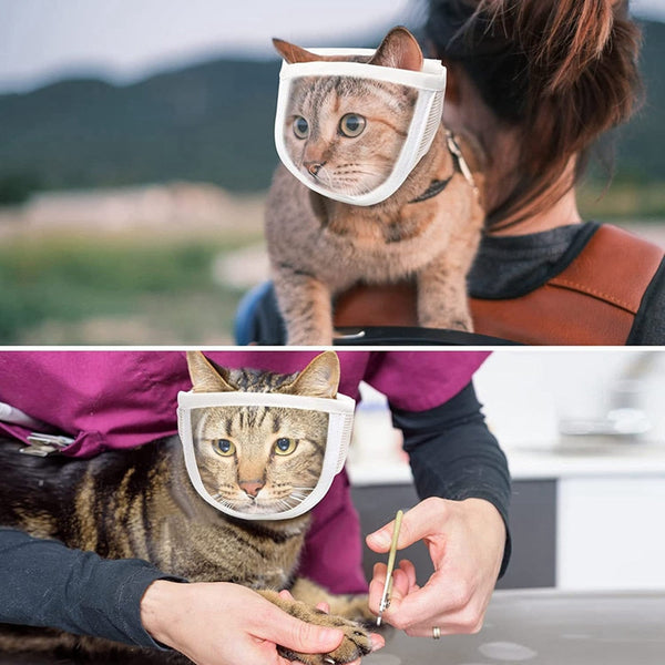 Transparent Cat Muzzle Breathable Dogs Cats Bathing Grooming Tools Anti Bite Puppy Kitten Muzzles Mask Pet Product