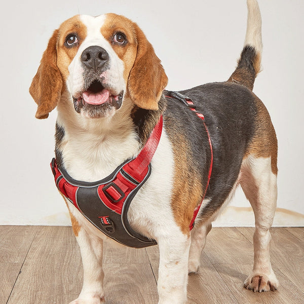 Dog Harness No Pull Outdoor Walking Breathable Reflective Small Harnesses