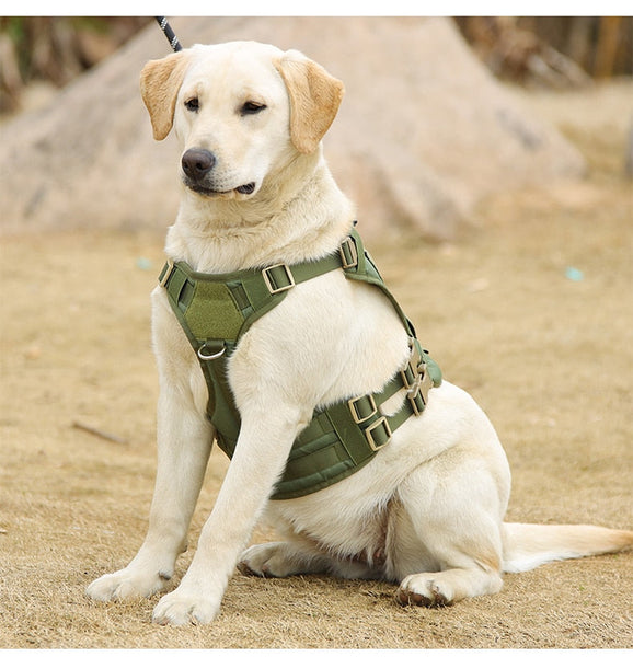 Pet Accessories Dog Harness Tactical Vest Outdoor Training Walking Harnesses